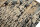 Designer Teppich Modern 200x240 cm Wolle Seide Handgeknüpft schwarz gold beige