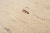Designer Teppich Lavish fein 250x300 cm 100% Wolle Handgeknüpft Rug Braun beige