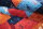 Teppich Perser Gabbeh Loribaft Nomad 250x350 cm Handgeknüpft 100% Wolle multi