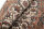 Teppich Orient Indo Bidjar Rund 100x100 cm 100% Wolle Handgeknüpft beige creme