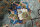 Teppich Orient Ziegler Ariana Läufer 84x300 cm 100% Wolle Handgeknüpft grau