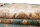 Teppich Ziegler Ariana 200x290 cm 100% Wolle Handgeknüpft Umrandung beige grün