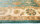 Teppich Ziegler Ariana 200x290 cm 100% Wolle Handgeknüpft Umrandung beige grün