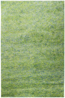 Teppich Brinker Carpets Salsa 200x300 cm 100% Wolle Tapijt Handgewebt grün
