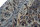 Teppich Orient Nain Royal Rund 250x250 cm 100% Wolle Handgeknüpft Rug creme blau
