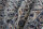 Teppich Orient Nain Royal Rund 250x250 cm 100% Wolle Handgeknüpft Rug creme blau