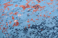 Teppich Original Nepal Handgeknüpft 100% Wolle 250x300 cm Rug Carpet orange grau