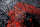 Design Teppich Lava 250x300 cm Wolle Bambus Seide Handgeknüpft Rug orange grau