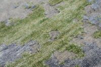 Teppich Nepal Handgeknüpft Seide Wolle Rug 250x300 cm Rug Pistazien grün grau