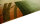 Teppich Original Nepal Annapurna Handgeknüpft 100% Wolle 170x240 cm Rug grün